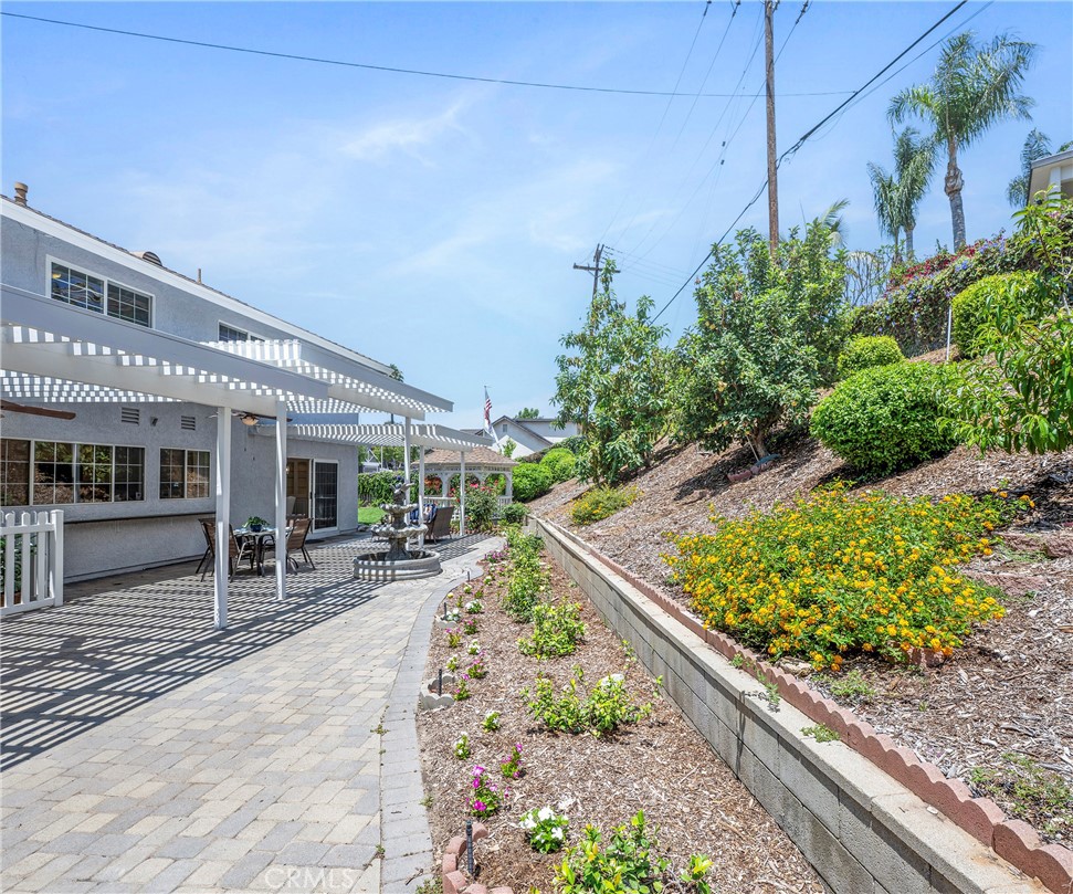 415 Buttonwood Drive