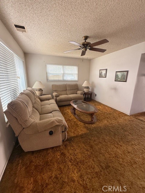 11020 El Amarillo
