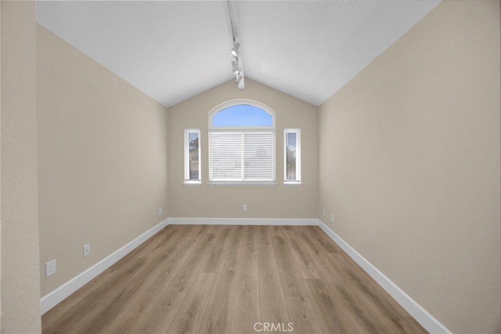 5700 Scotch Pine