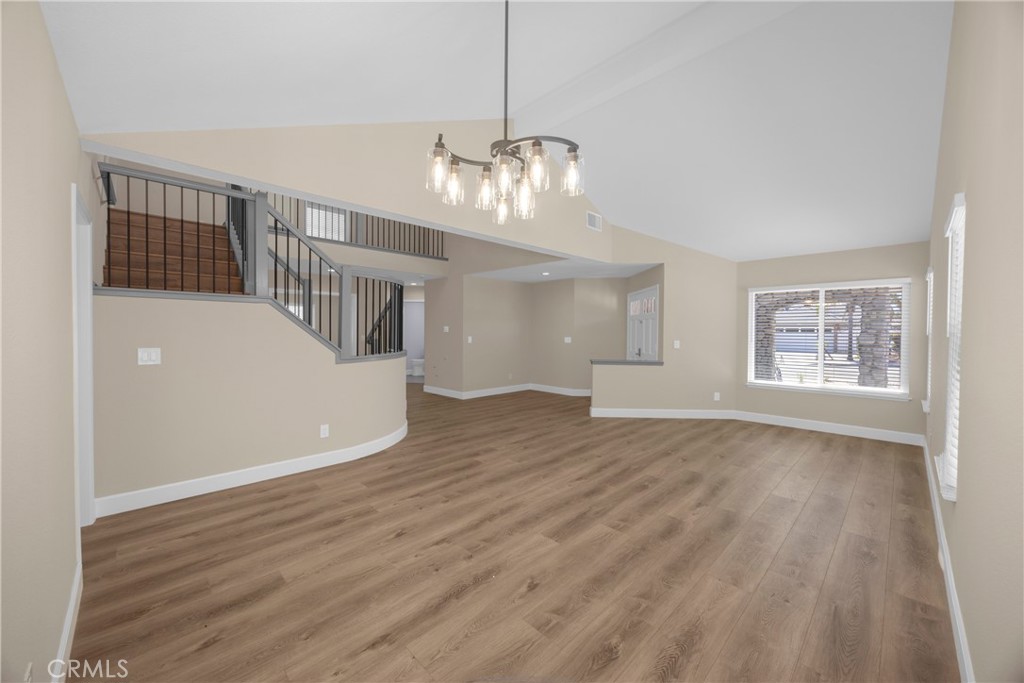 5700 Scotch Pine