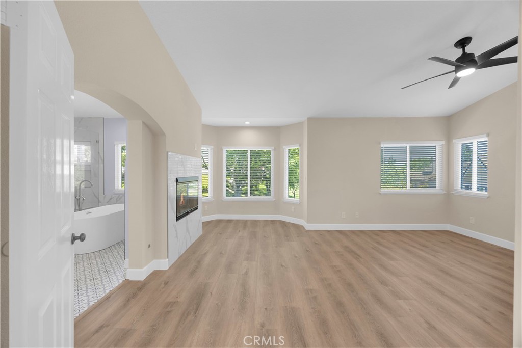 5700 Scotch Pine