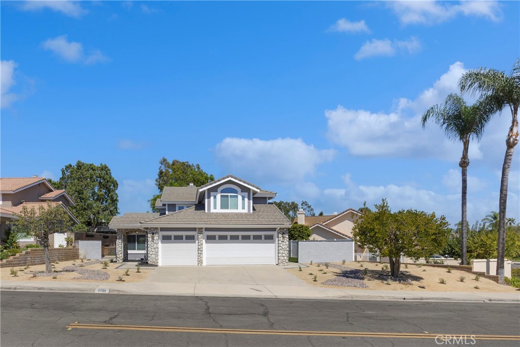 5700 Scotch Pine