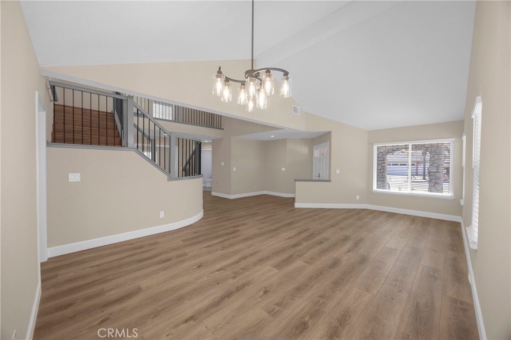 5700 Scotch Pine