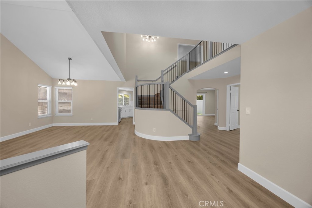 5700 Scotch Pine