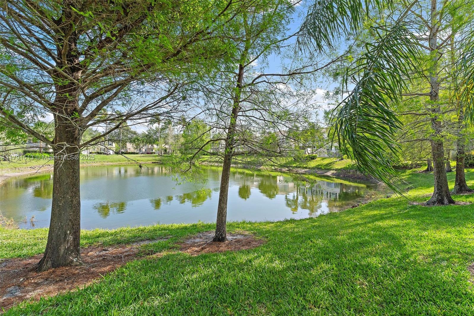 223 Fortuna Dr