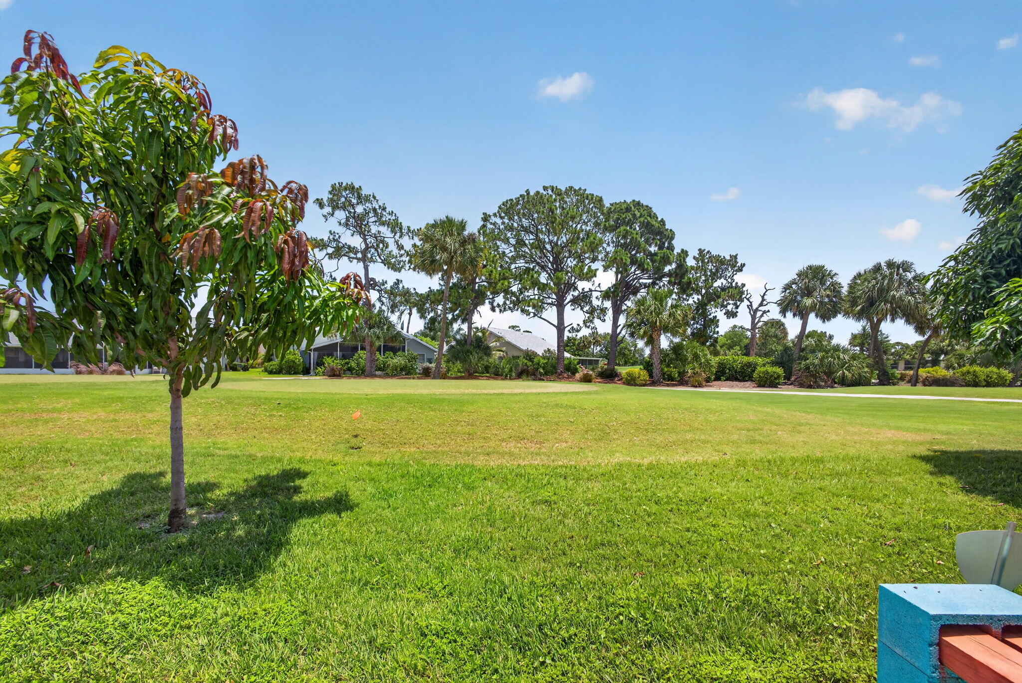 114 Palomino Drive