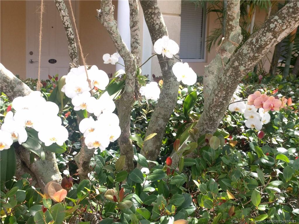 24 Harbour Isle Drive W 201