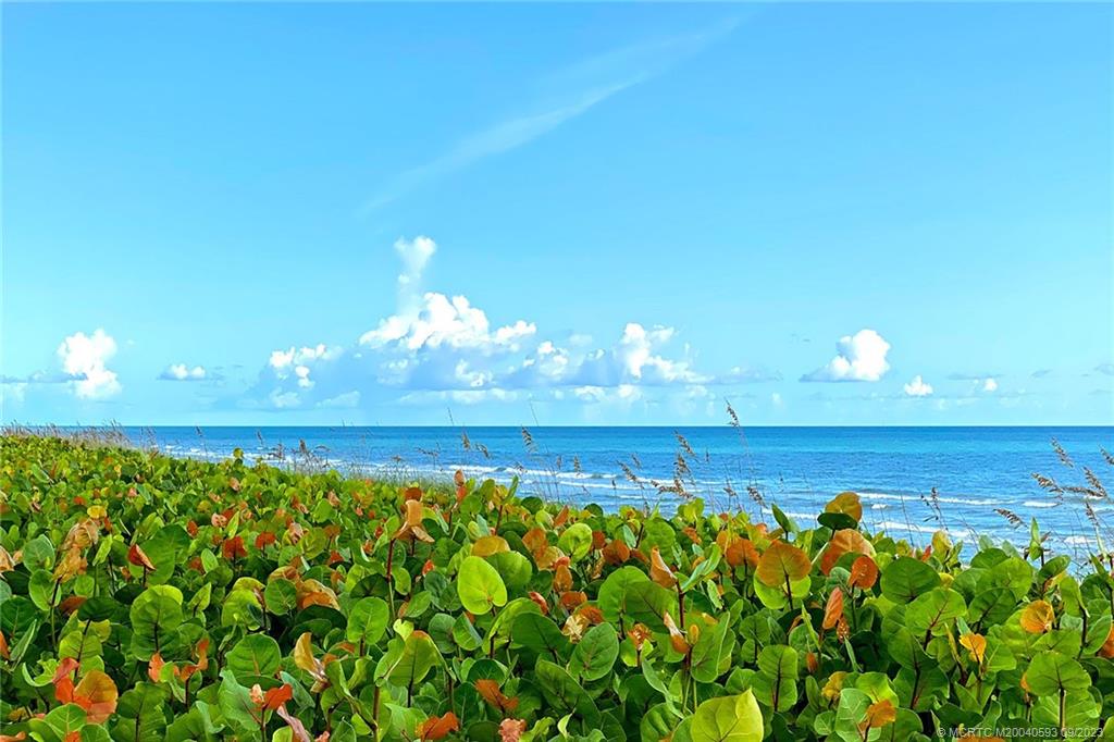 10102 S Ocean Drive 202A