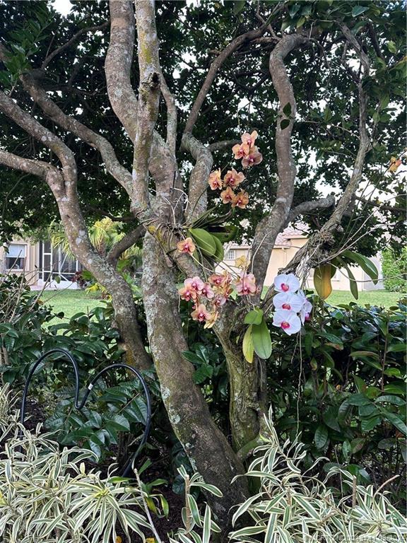 9036 Padova Dr Drive