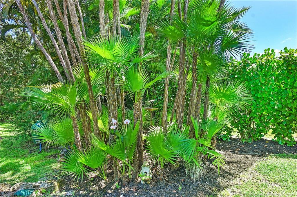 4142 SE Peppertree Street