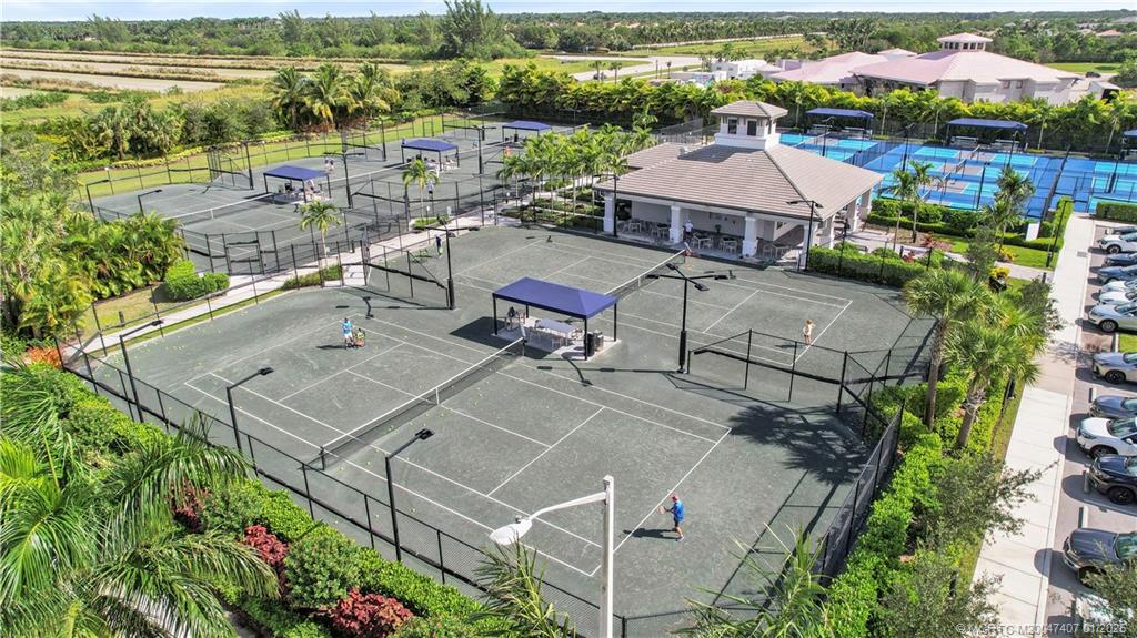 9500 Portugese Pine Grove