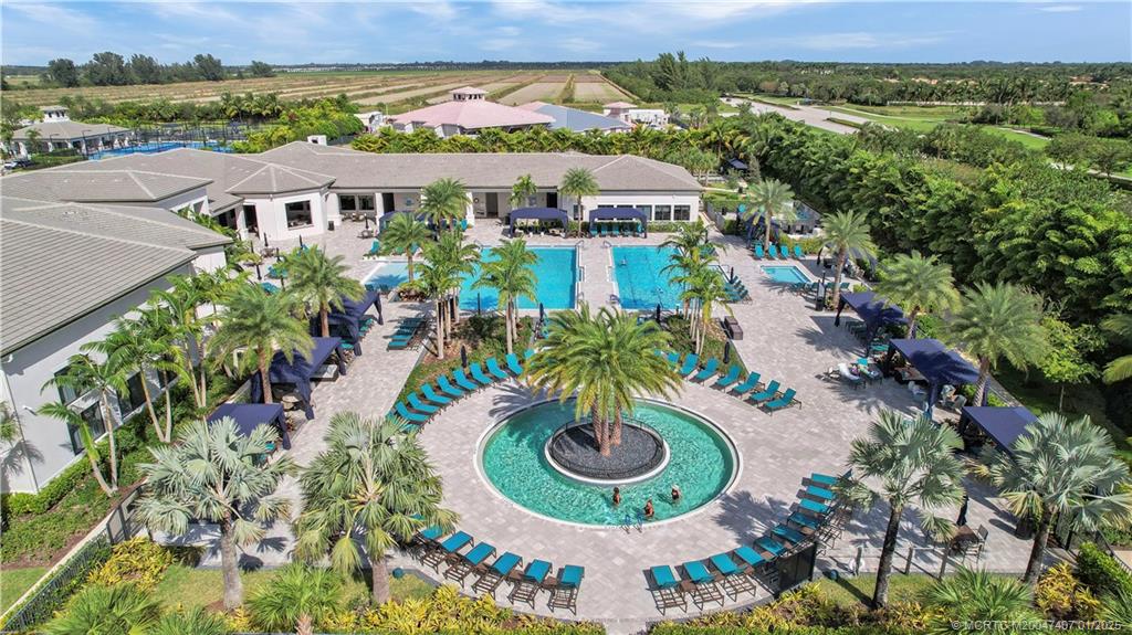 9500 Portugese Pine Grove