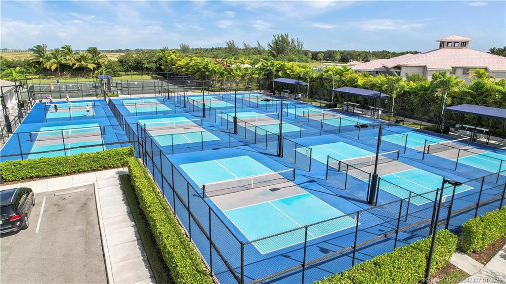 9500 Portugese Pine Grove