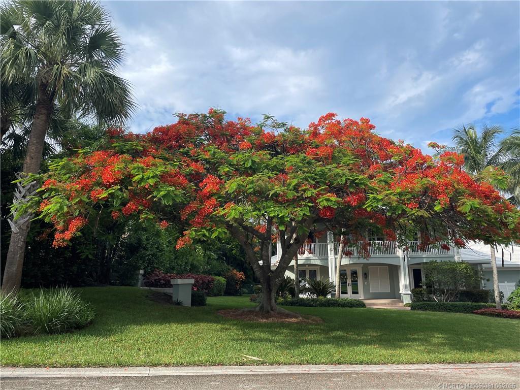 11 Castle Hill Way