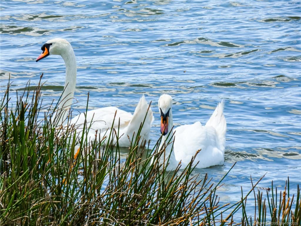 8913 SW Chevy Circle