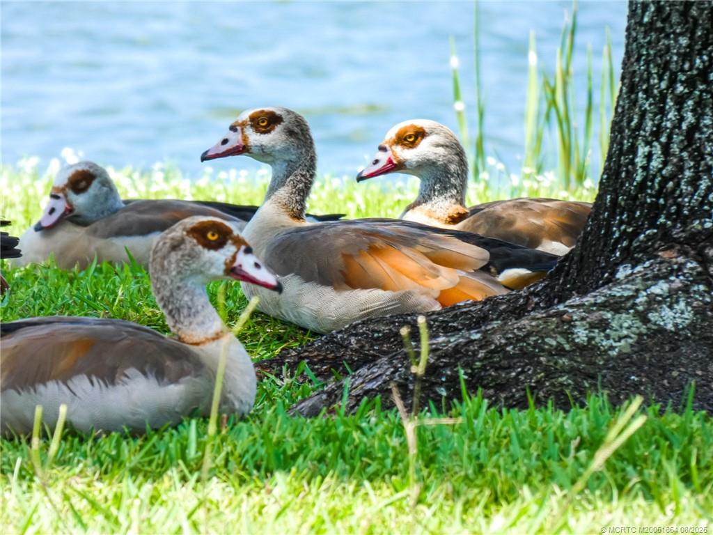 8913 SW Chevy Circle