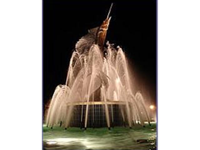 624 SW Saint Lucie Cres 405