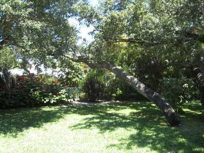 18 Palm Road 18
