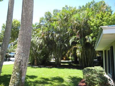 18 Palm Road 18