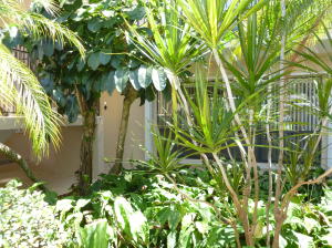 6 Concourse Drive 6-B