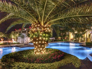 701 S Olive Avenue Ph04