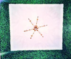 701 S Olive Avenue Ph04