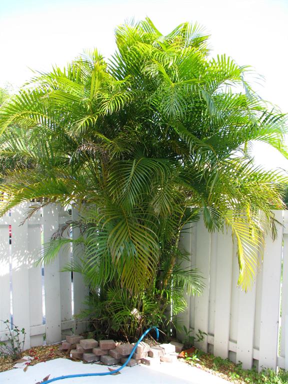 153 Seabreeze Circle