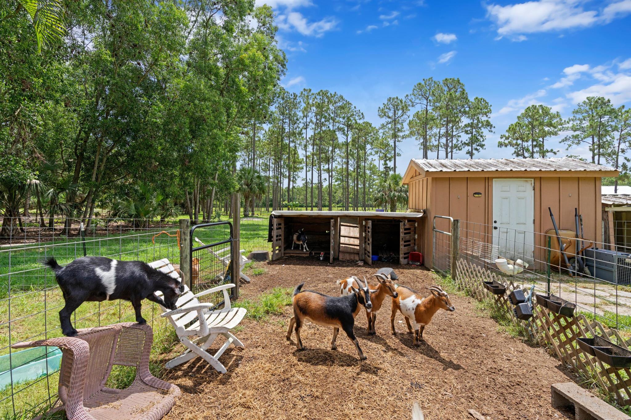 13080 Arrowwood Drive