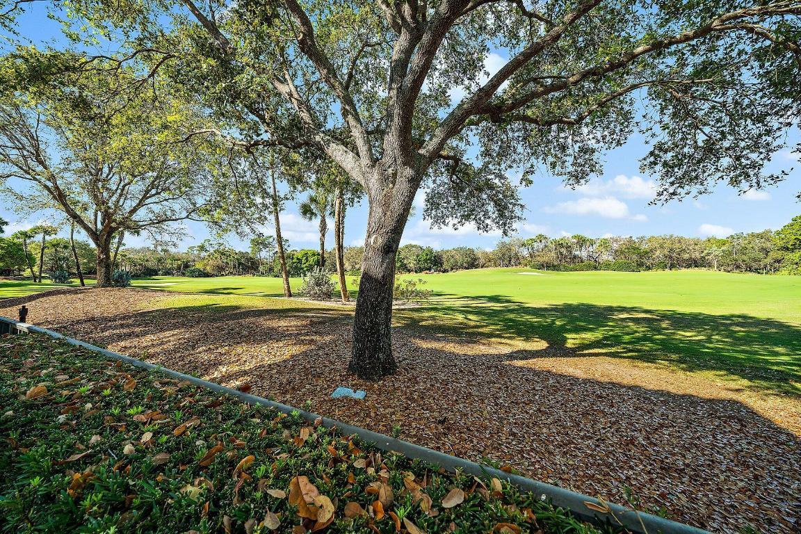 11513 Green Bayberry Drive