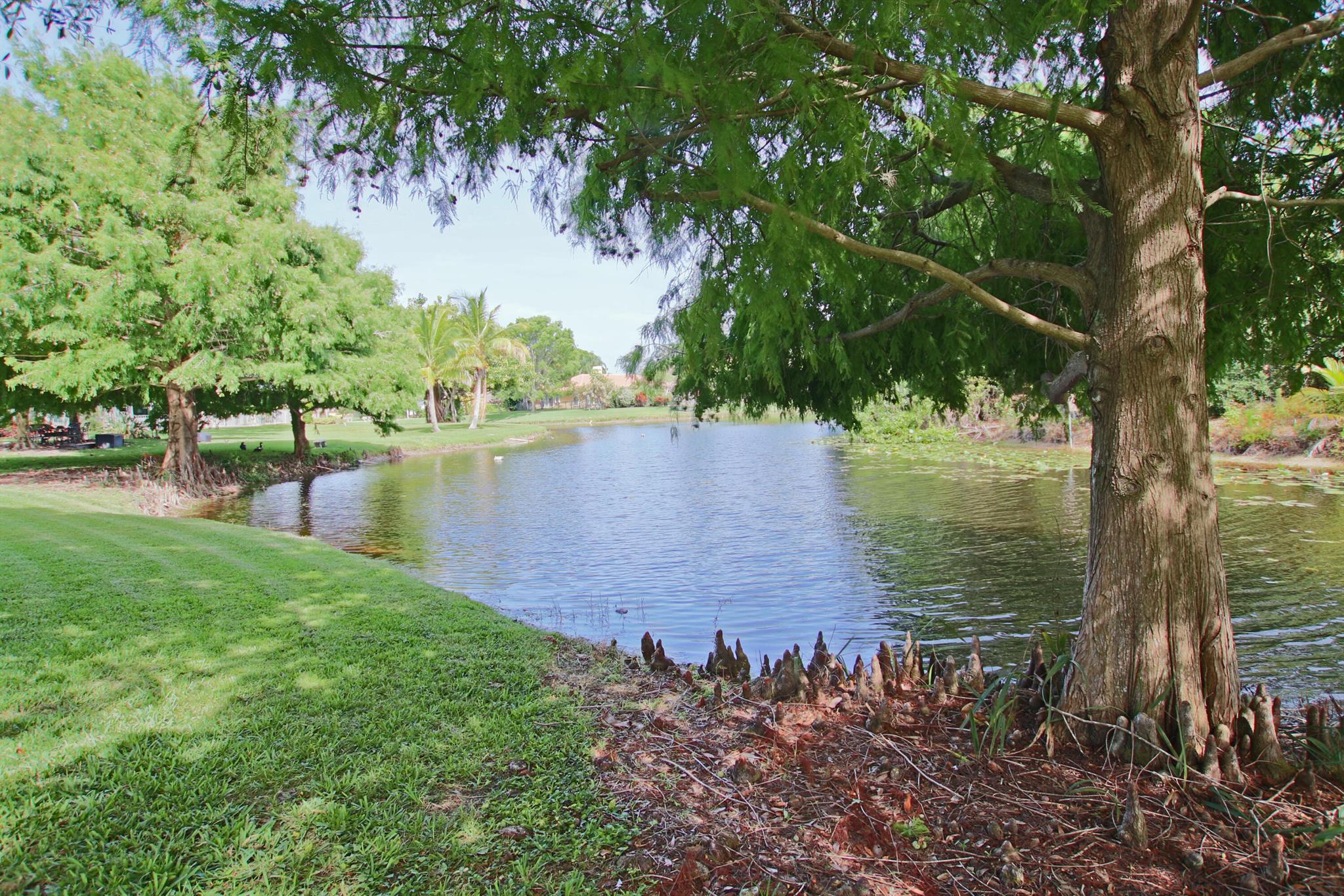 19642 Red Maple Lane