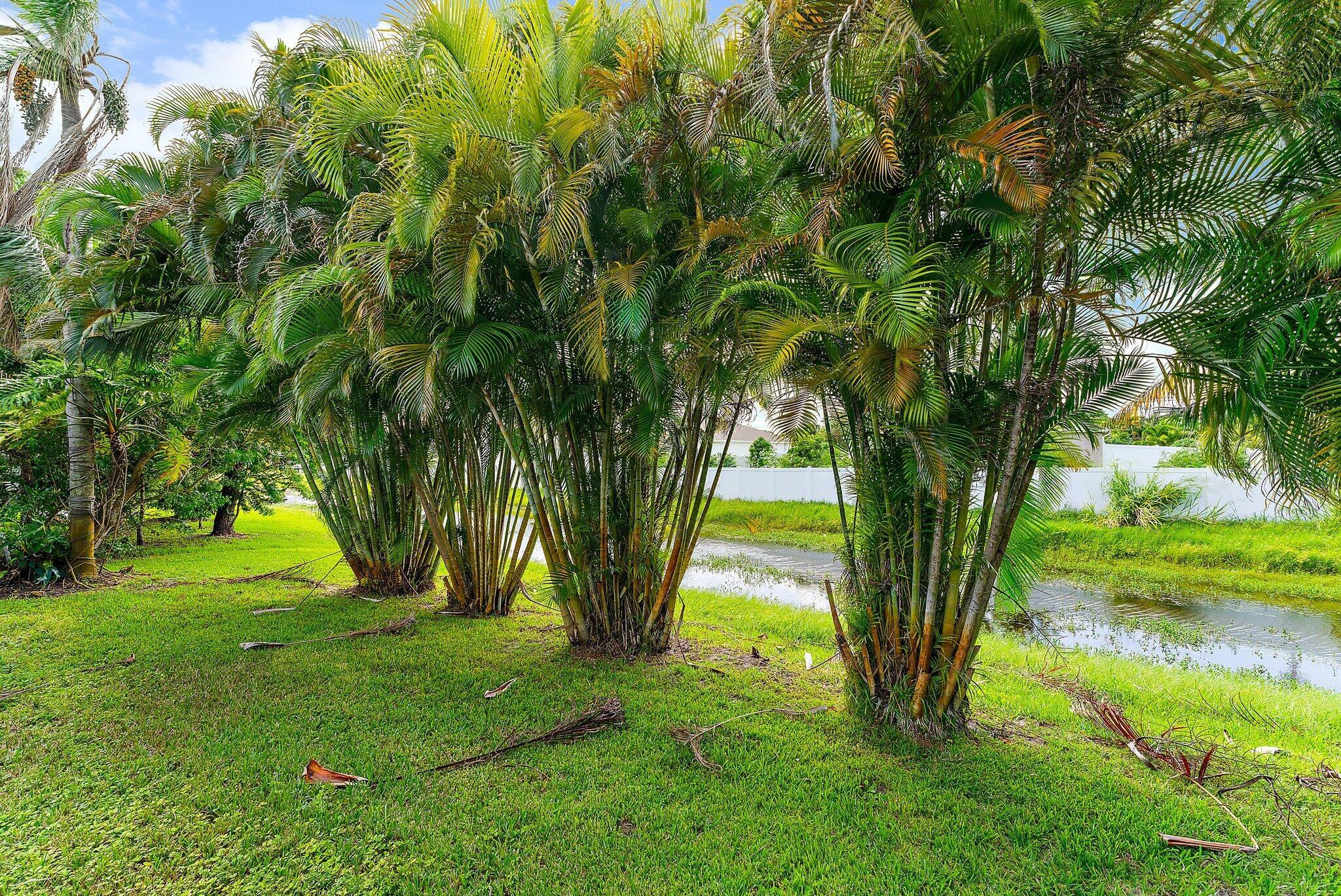 2238 SE Lucaya Street