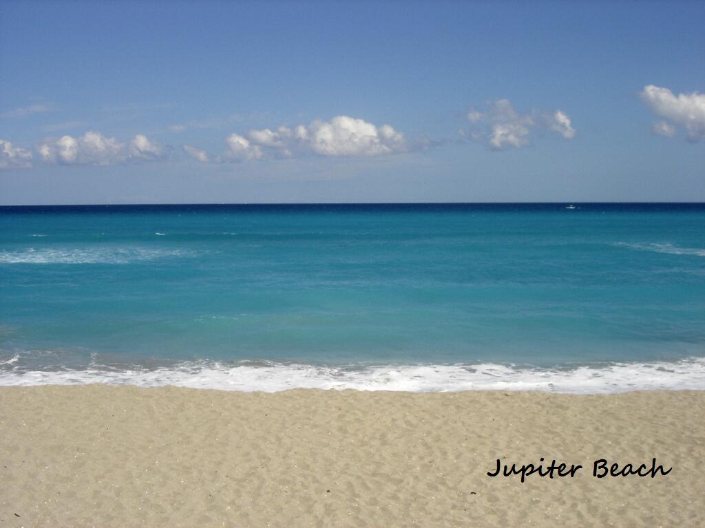 175 Jones Creek Drive