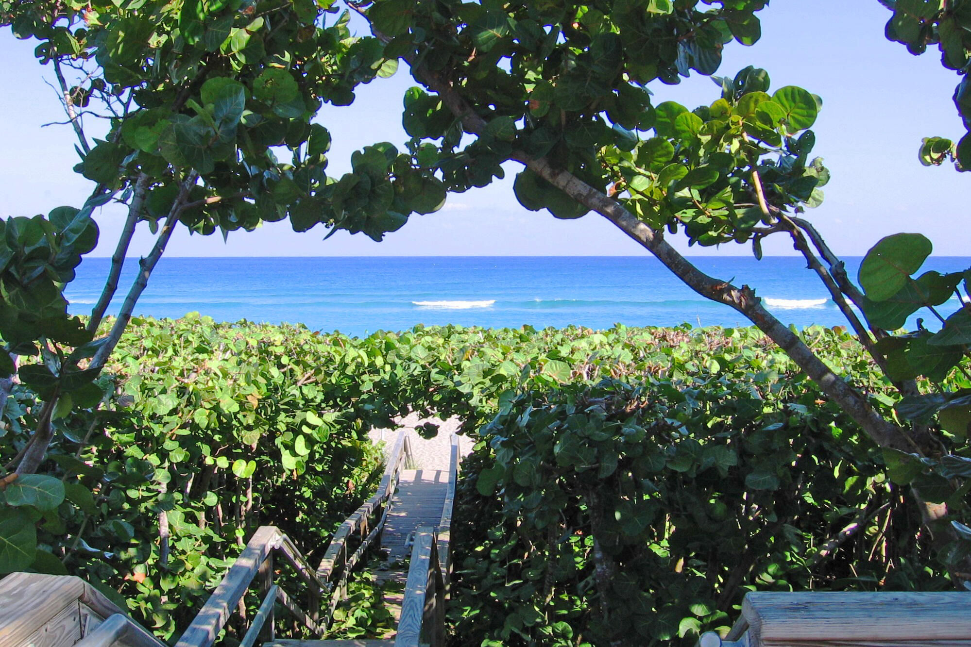 175 Jones Creek Drive