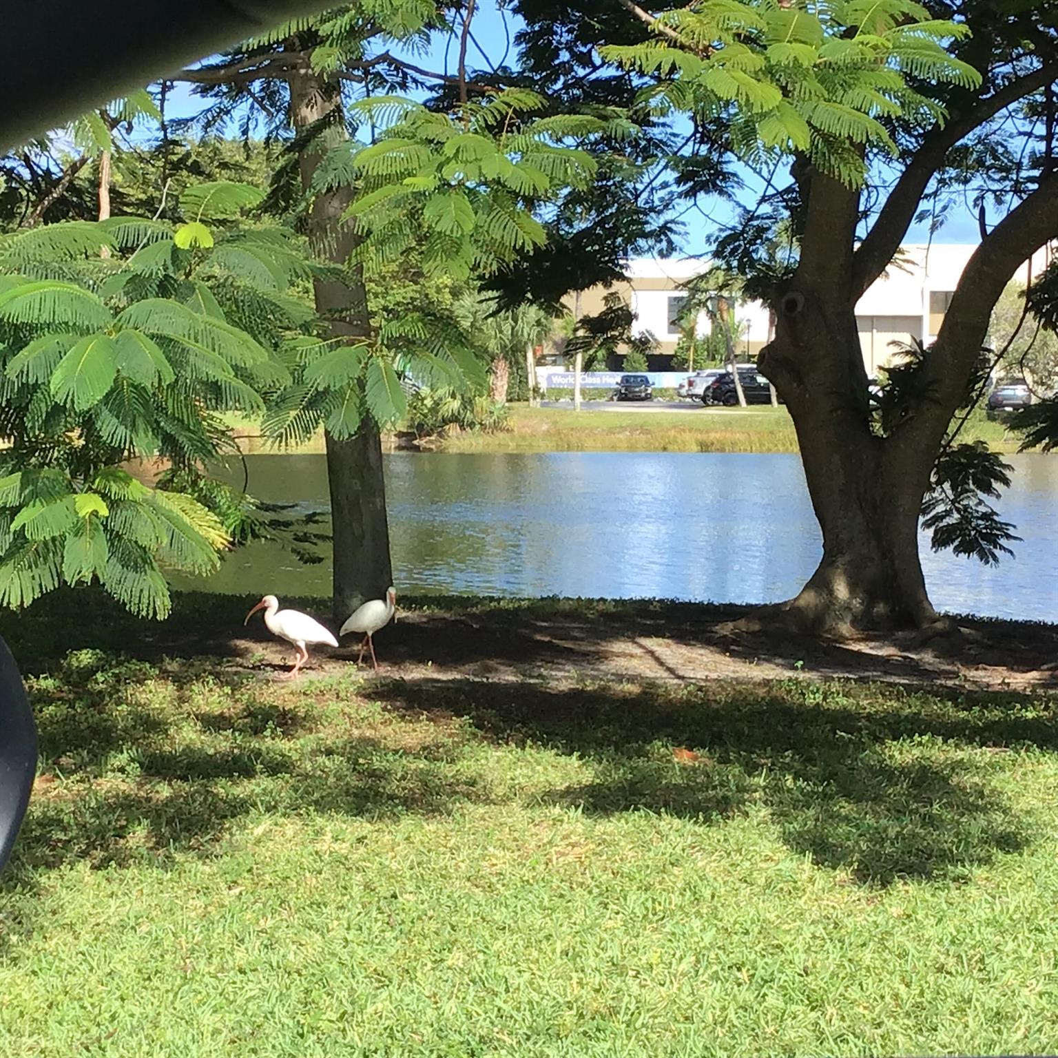 326 Jupiter Lakes Boulevard 2311b