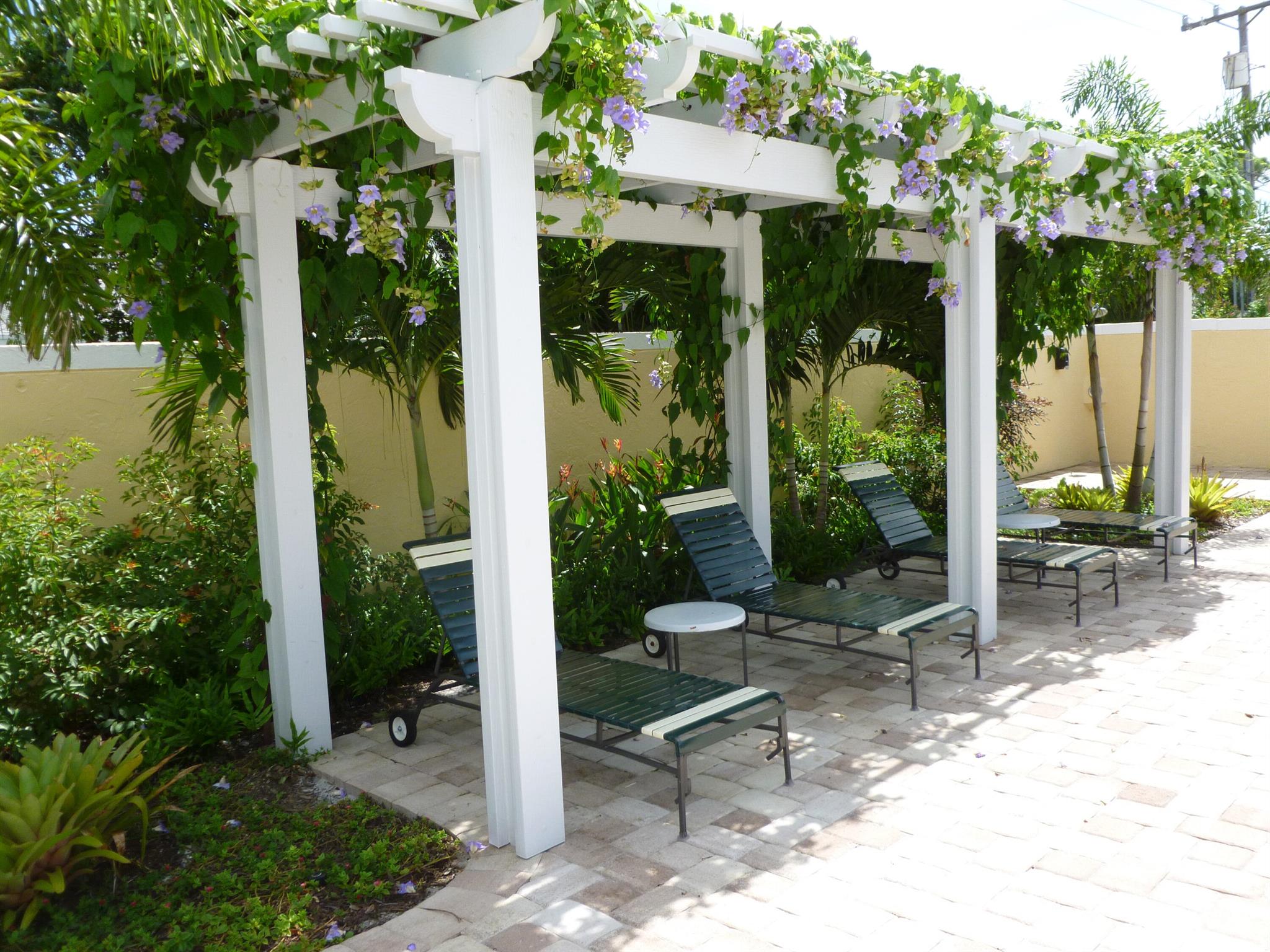 12 SE Concourse Drive Apt F