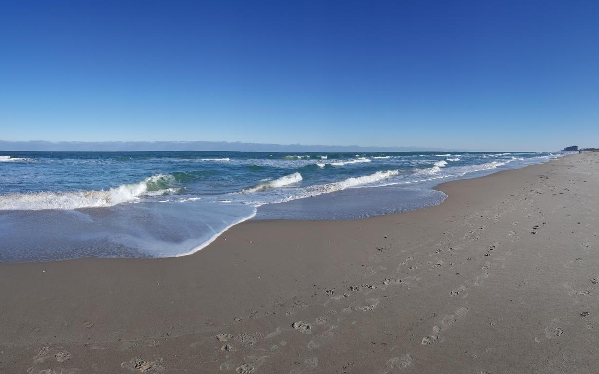 5151 N Highway A1a 712