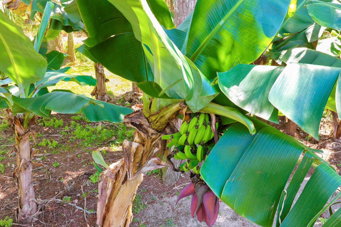 18600 Misty Lake Drive