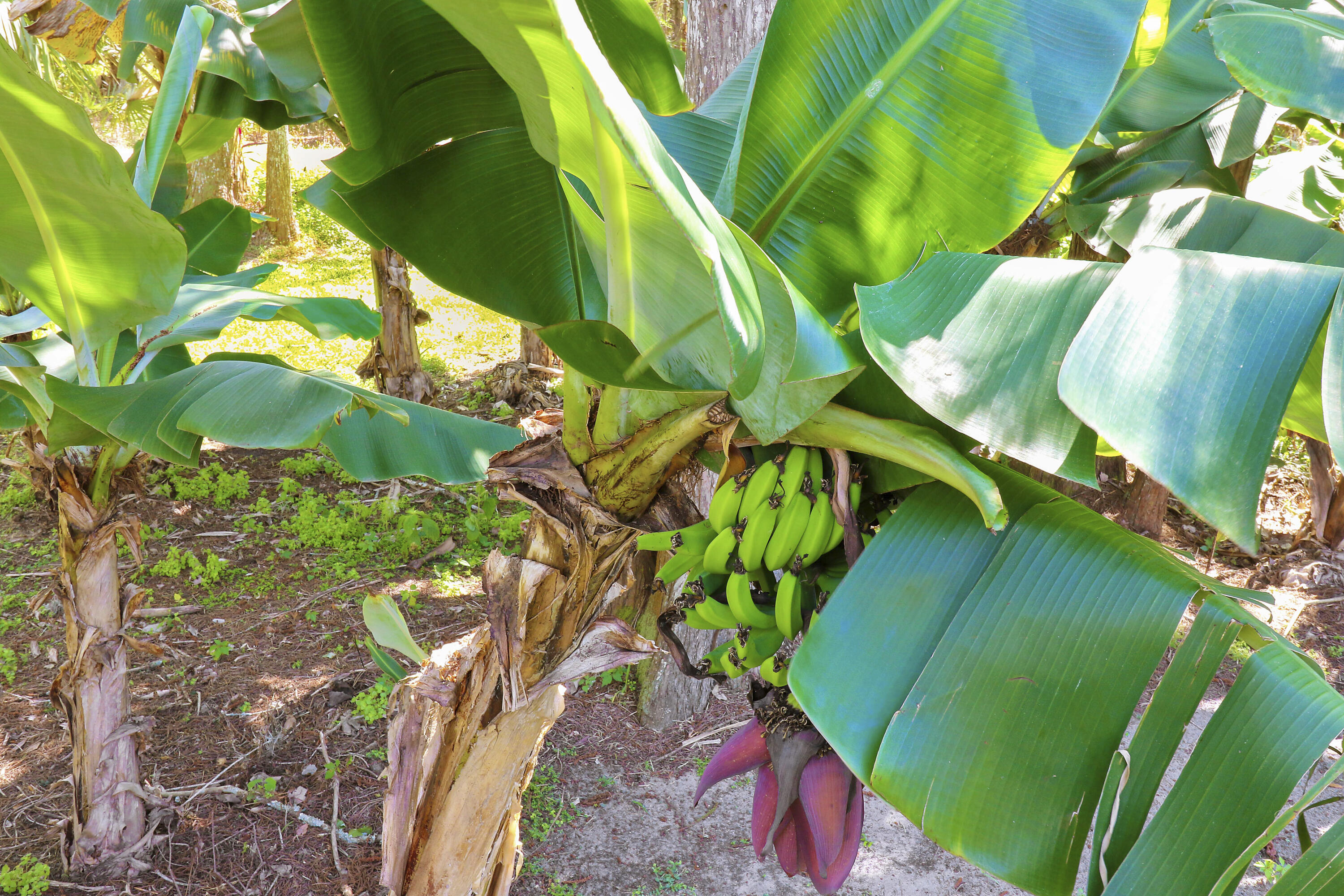 18600 Misty Lake Drive