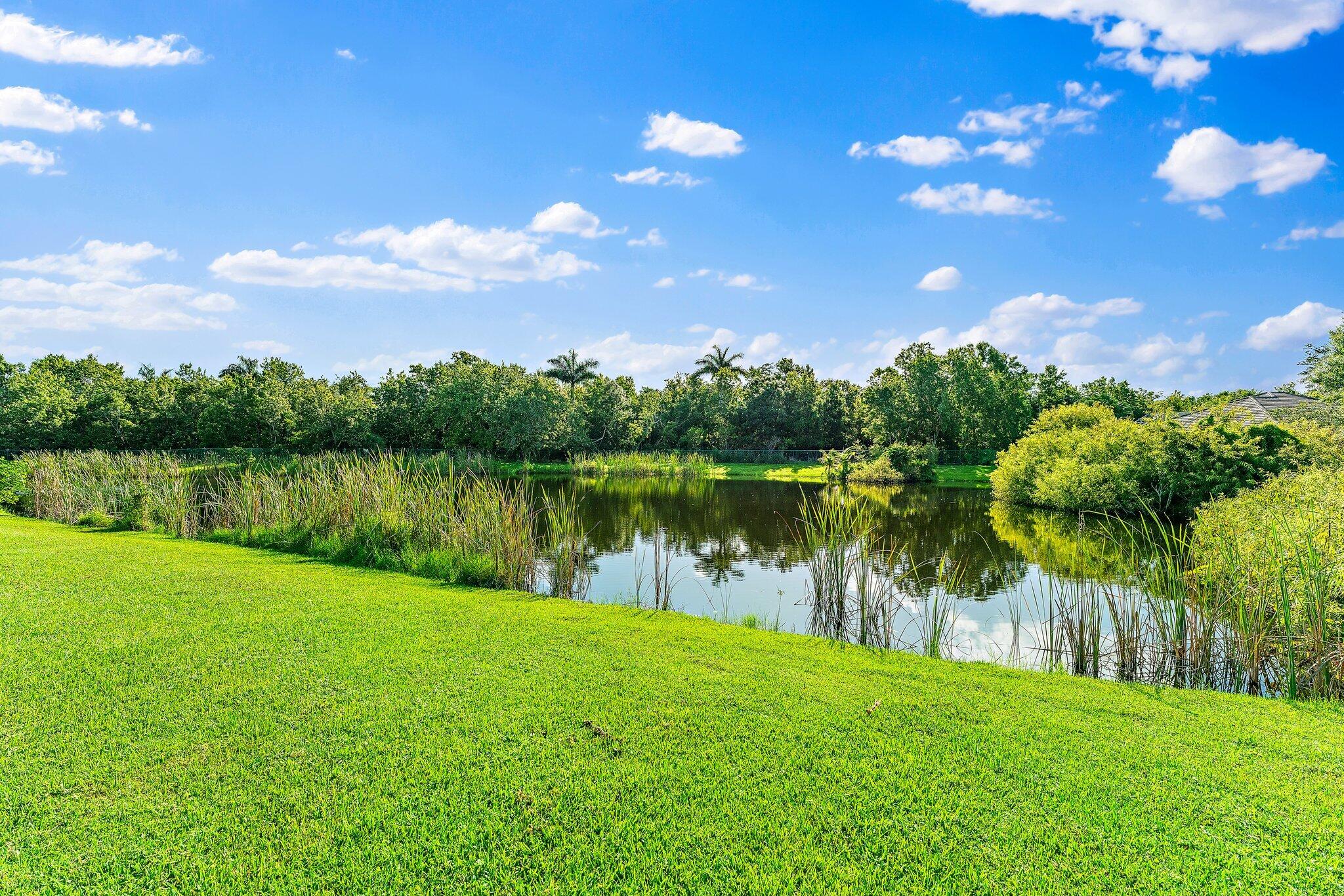 2175 Northfork Drive