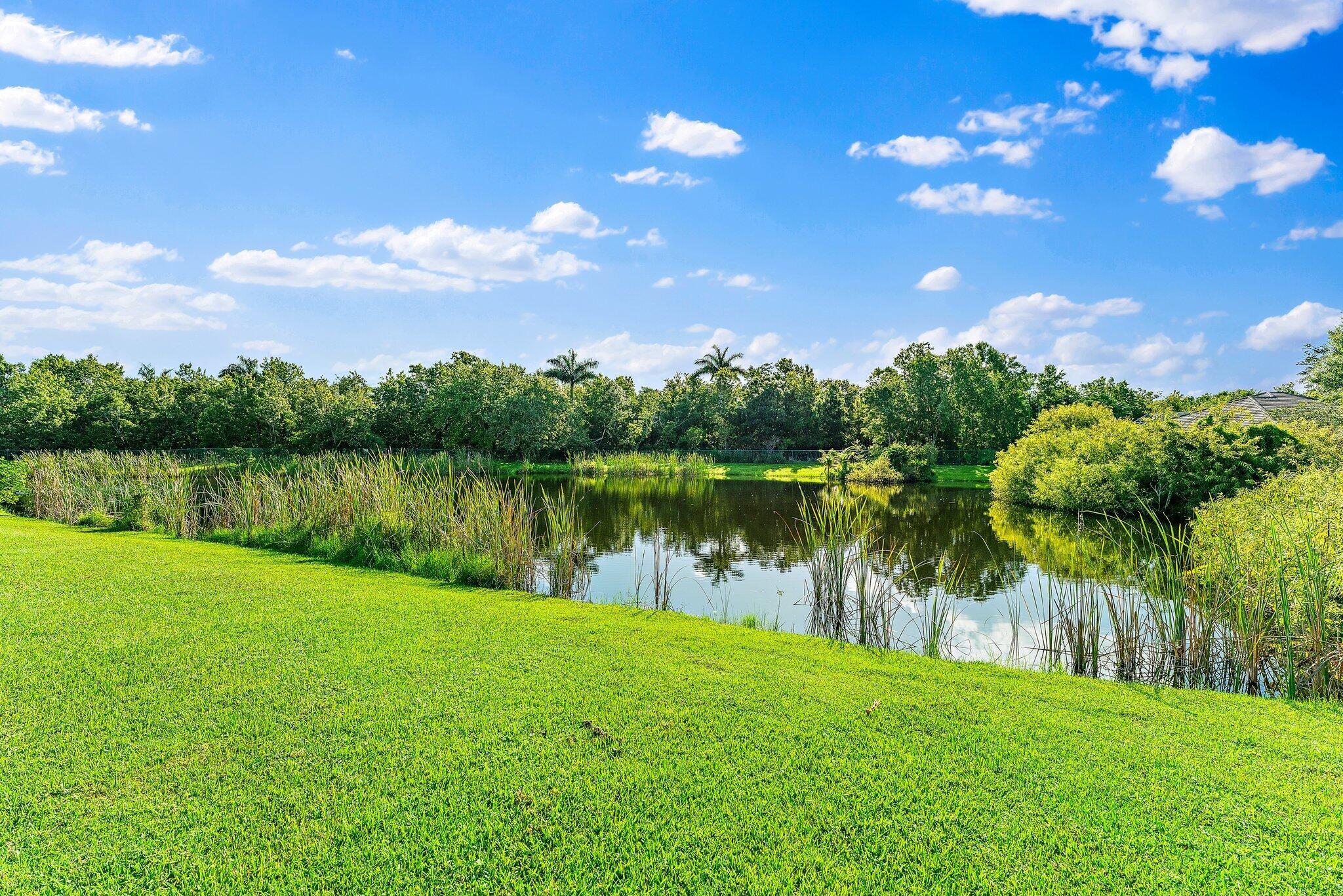 2175 Northfork Drive