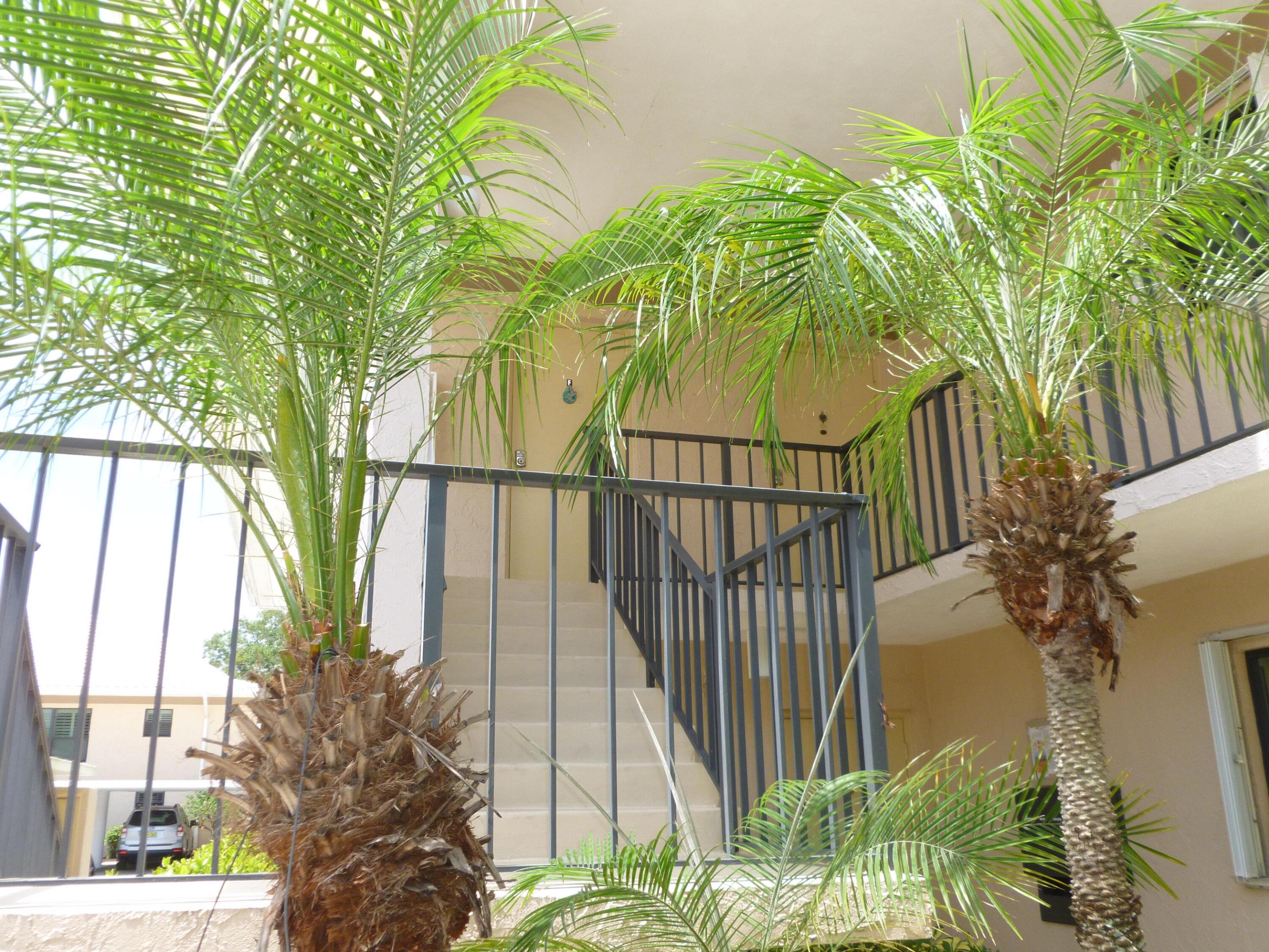 7 SE Turtle Creek Drive F