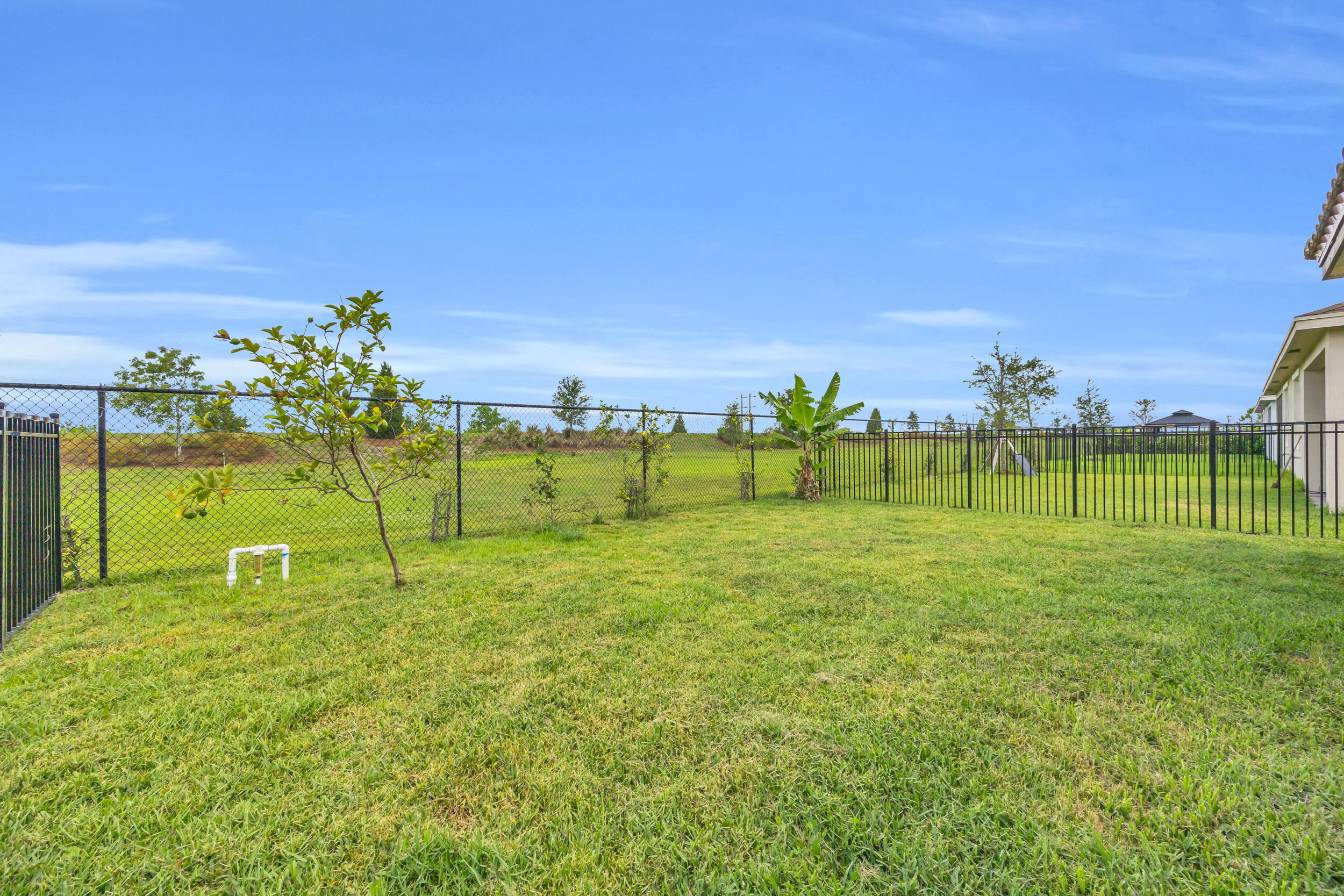 1246 Tangled Orchard Trce