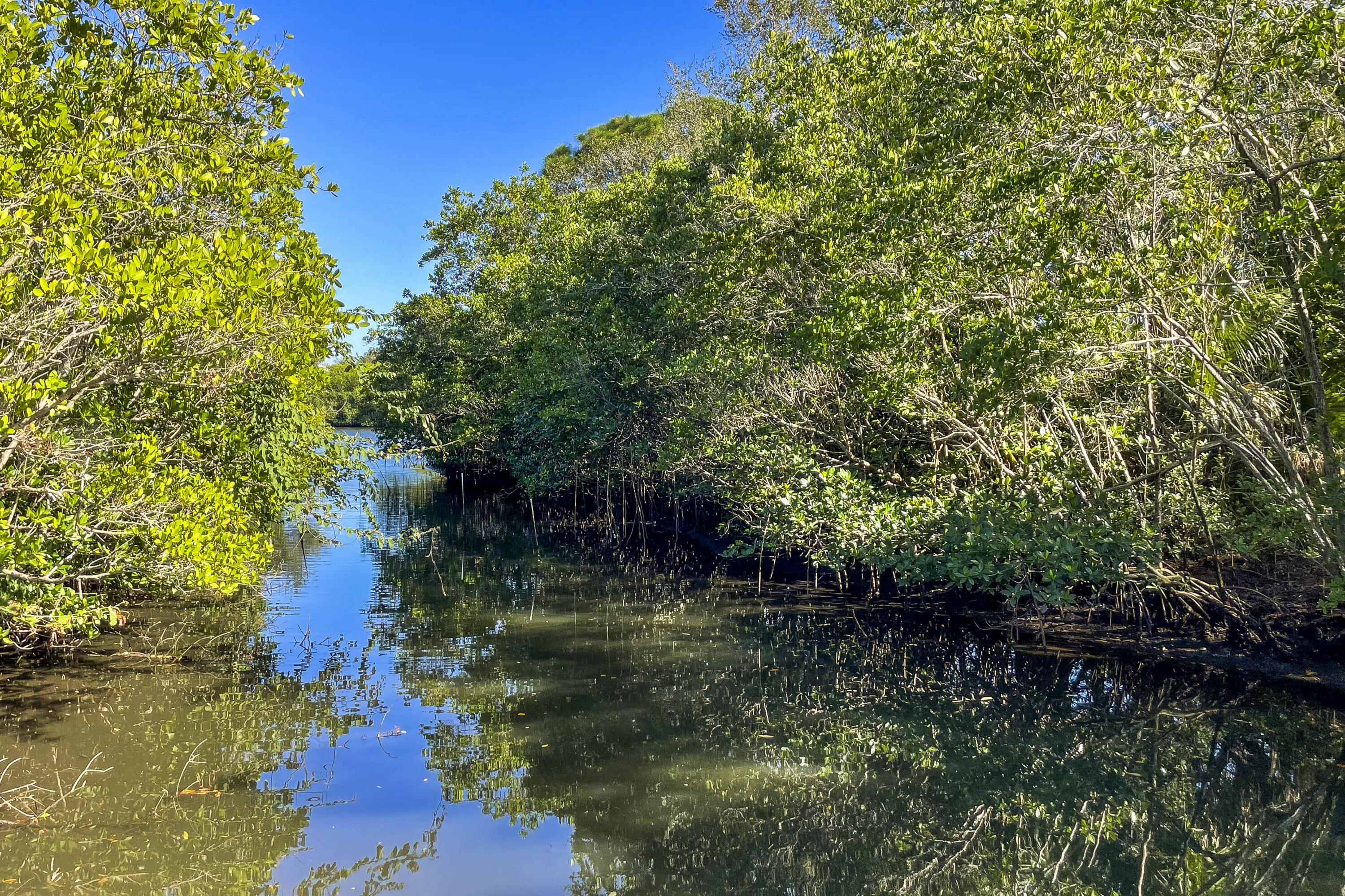 217 Shores Pointe Drive