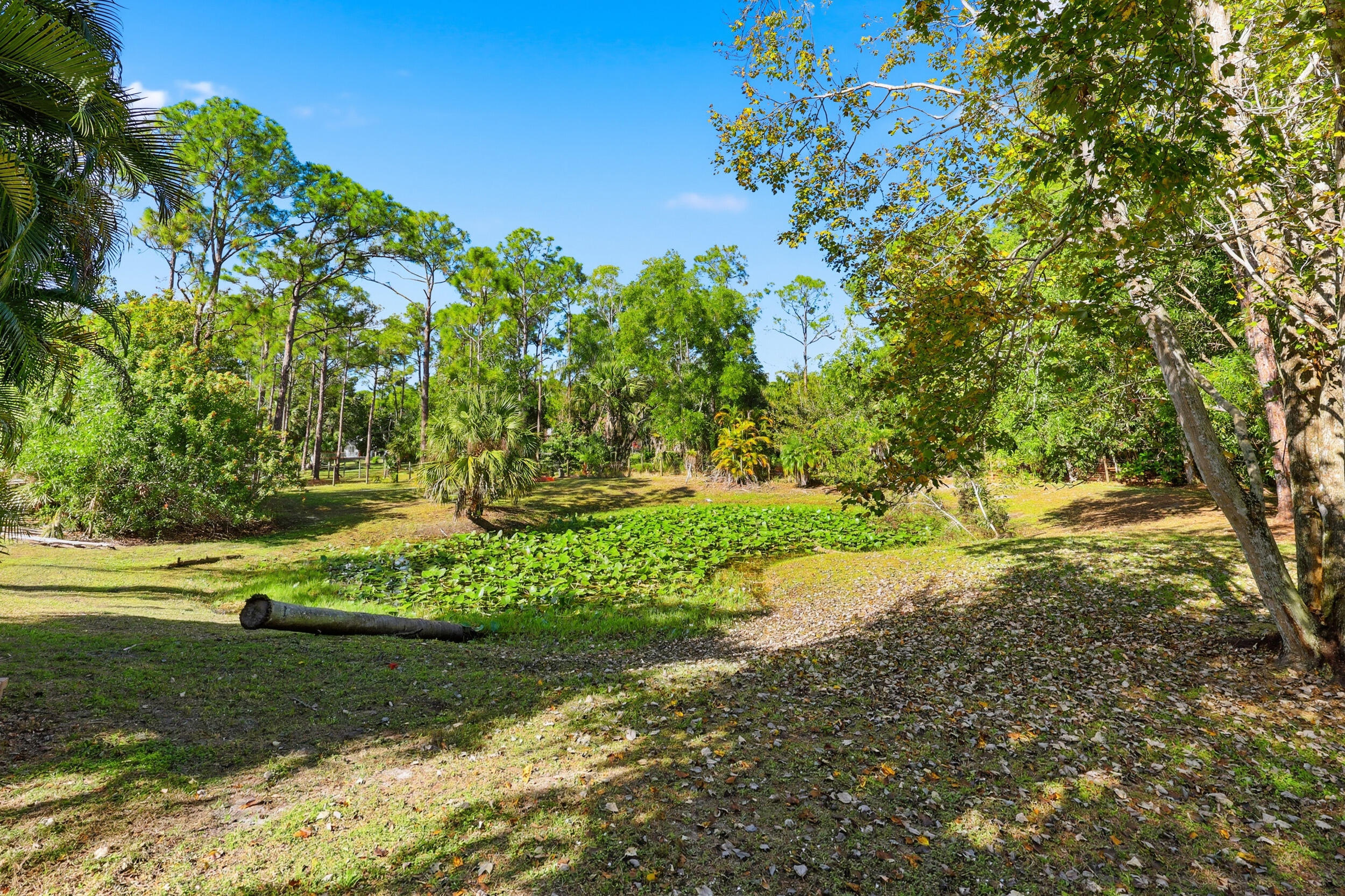 10297 Sandy Run, Jupiter