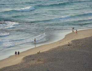 4100 N Ocean Drive 1901