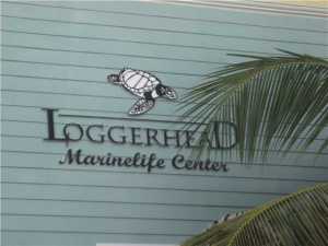 319 Georgian Park Drive