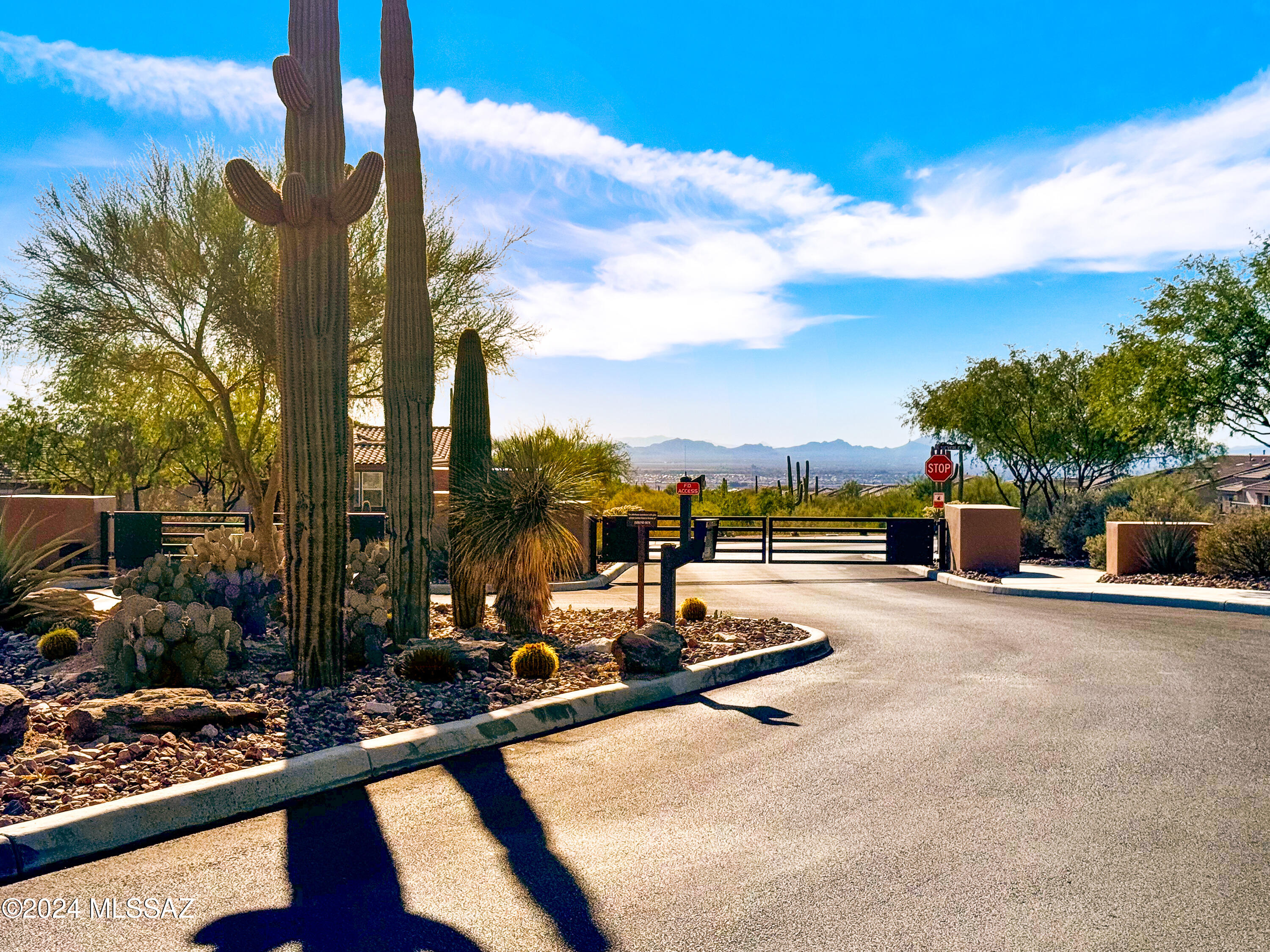 14249 N Silverleaf Lane