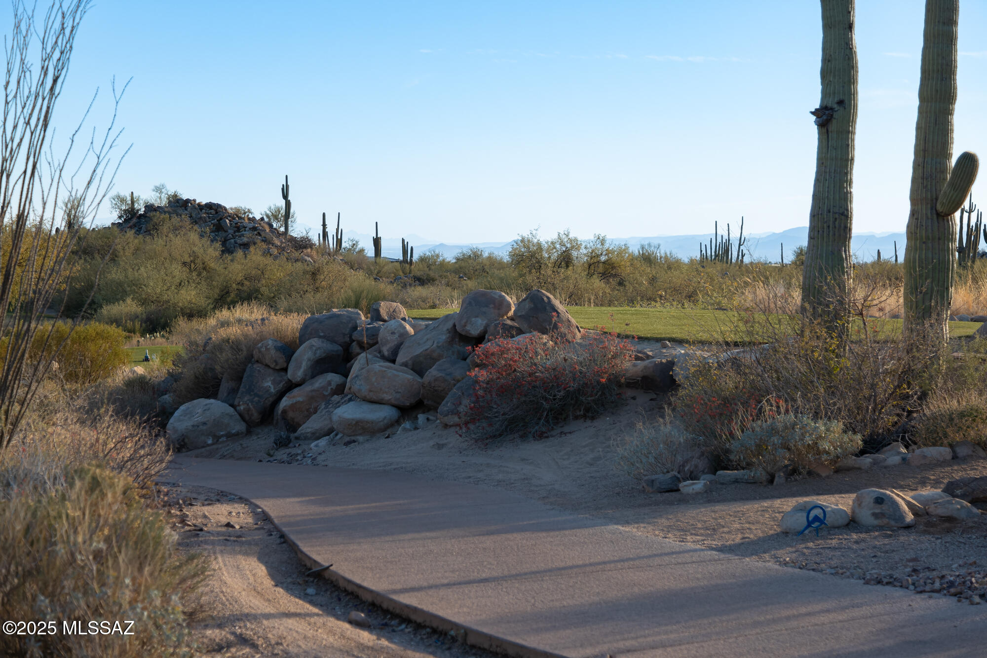 1194 W Tortolita Mountain Circle W 194