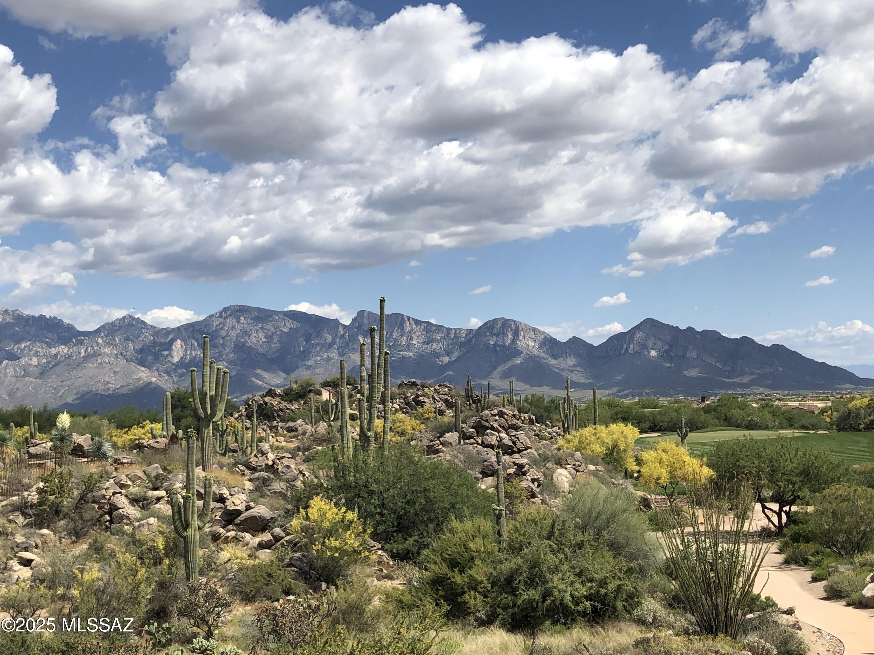 1194 W Tortolita Mountain Circle W 194