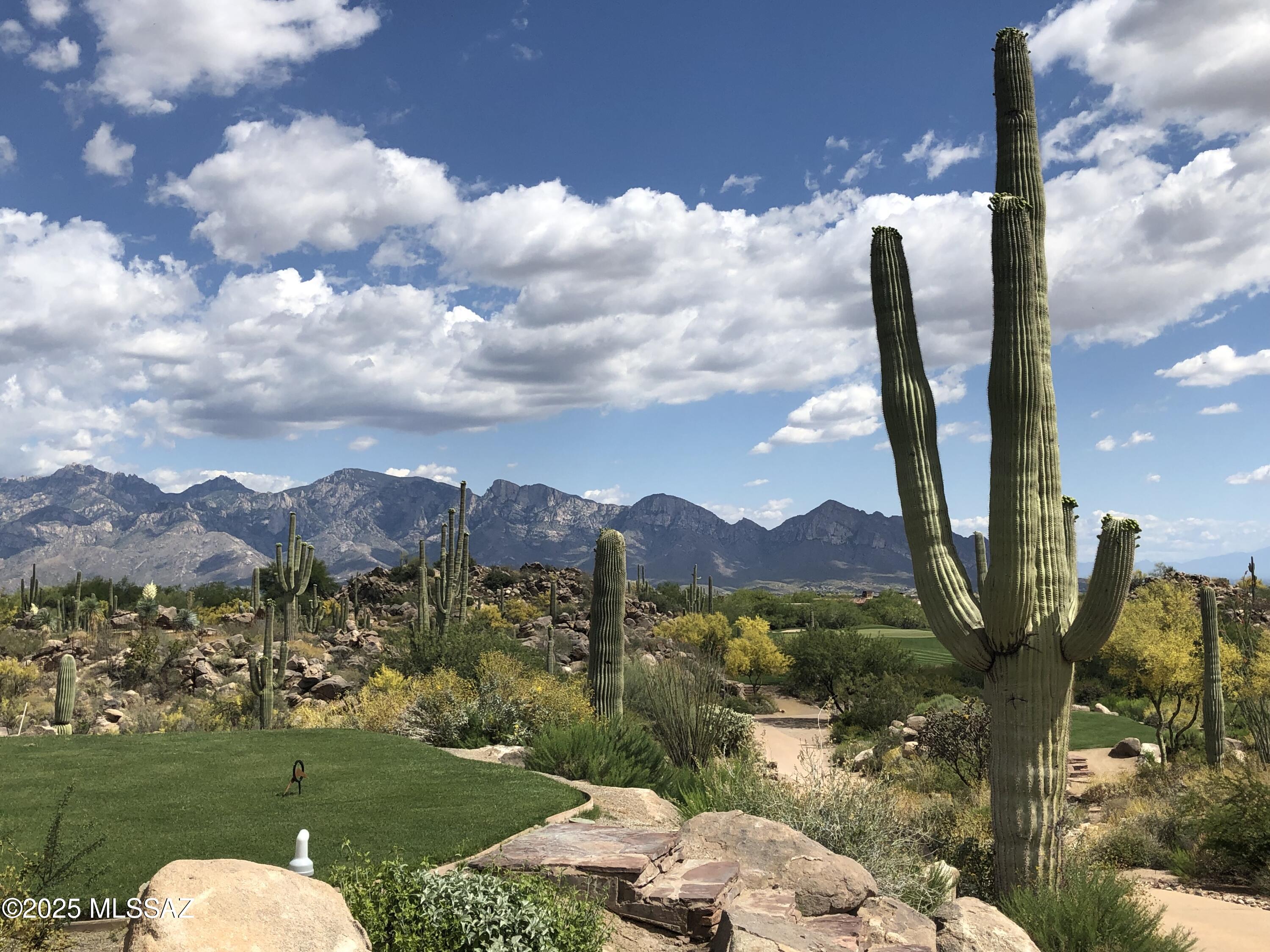 1194 W Tortolita Mountain Circle W 194
